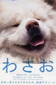 秋田犬蓬夫